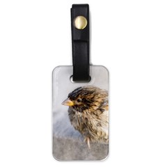 Funny Wet Sparrow Bird Luggage Tags (one Side)  by FunnyCow