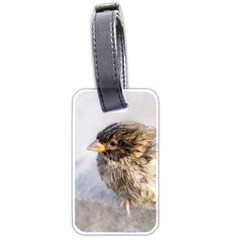 Funny Wet Sparrow Bird Luggage Tags (two Sides) by FunnyCow