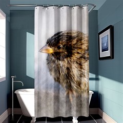 Funny Wet Sparrow Bird Shower Curtain 36  X 72  (stall)  by FunnyCow