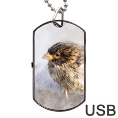 Funny Wet Sparrow Bird Dog Tag Usb Flash (two Sides) by FunnyCow