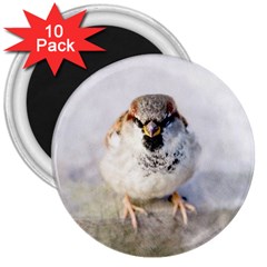 Do Not Mess With Sparrows 3  Magnets (10 Pack)  by FunnyCow