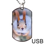 Squirrel Looks At You Dog Tag USB Flash (One Side) Front