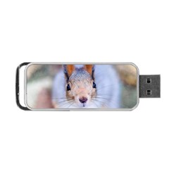 Squirrel Looks At You Portable Usb Flash (one Side) by FunnyCow