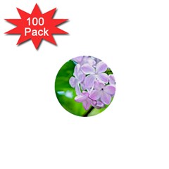 Elegant Pink Lilacs In Spring 1  Mini Buttons (100 Pack)  by FunnyCow