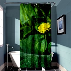 Yellow Dandelion Flowers In Spring Shower Curtain 36  X 72  (stall)  by FunnyCow