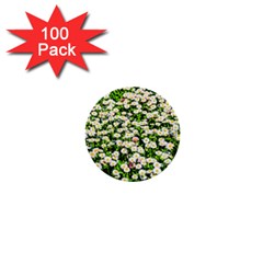 Green Field Of White Daisy Flowers 1  Mini Buttons (100 Pack)  by FunnyCow