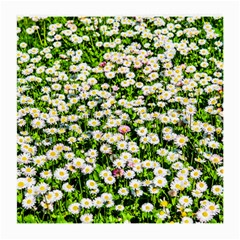 Green Field Of White Daisy Flowers Medium Glasses Cloth by FunnyCow