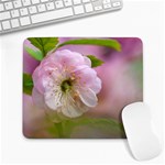 Single Almond Flower Large Mousepads Front