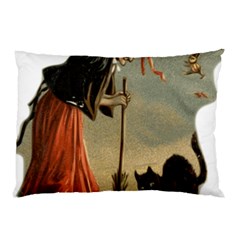 Witch 1461961 1920 Pillow Case by vintage2030