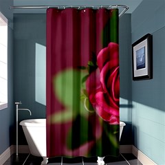 Rose 693152 1920 Shower Curtain 36  X 72  (stall)  by vintage2030