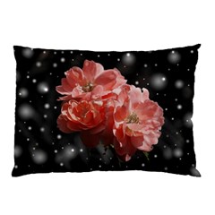 Rose 572757 1920 Pillow Case (two Sides) by vintage2030