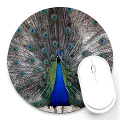 Peacock Bird Animals Pen Plumage Round Mousepads by Sapixe