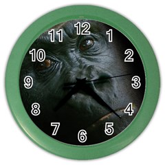 Gorilla Monkey Zoo Animal Color Wall Clock by Nexatart