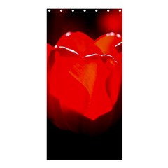 Red Tulip A Bowl Of Fire Shower Curtain 36  X 72  (stall)  by FunnyCow