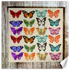 Butterfly 1126264 1920 Canvas 20  X 20  by vintage2030