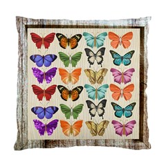 Butterfly 1126264 1920 Standard Cushion Case (two Sides) by vintage2030