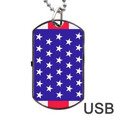 Day Independence July Background Dog Tag Usb Flash (two Sides) by Simbadda