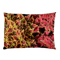 Plant Leaves Foliage Pattern Pillow Case by Celenk