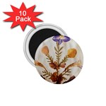 Holy Land Flowers 11 1.75  Magnets (10 pack)  Front