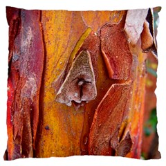 Bark Tree Texture Wood Trunk Large Flano Cushion Case (two Sides) by Sapixe