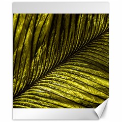 Feather Macro Bird Plumage Nature Canvas 16  X 20  by Sapixe