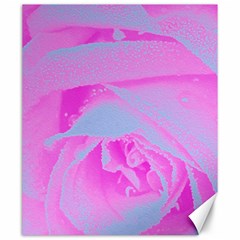 Perfect Hot Pink And Light Blue Rose Detail Canvas 20  X 24  by myrubiogarden