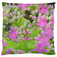 Hot Pink Succulent Sedum With Fleshy Green Leaves Large Flano Cushion Case (two Sides) by myrubiogarden