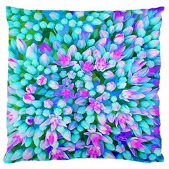 Blue And Hot Pink Succulent Sedum Flowers Detail Large Cushion Case (one Side) by myrubiogarden