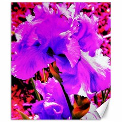 Abstract Ultra Violet Purple Iris On Red And Pink Canvas 20  X 24  by myrubiogarden