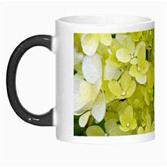 Elegant Chartreuse Green Limelight Hydrangea Macro Morph Mugs by myrubiogarden