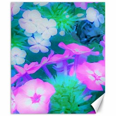 Pink, Green, Blue And White Garden Phlox Flowers Canvas 8  X 10  by myrubiogarden