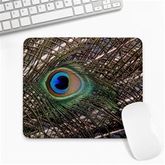 Peacock Tail Feathers Large Mousepads by Wegoenart