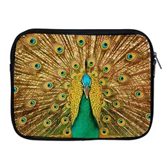 Peacock Feather Bird Peafowl Apple Ipad 2/3/4 Zipper Cases by Wegoenart