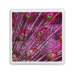 Peacock Feathers Color Plumage Memory Card Reader (square) by Wegoenart