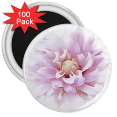 Abstract Transparent Image Flower 3  Magnets (100 Pack) by Wegoenart