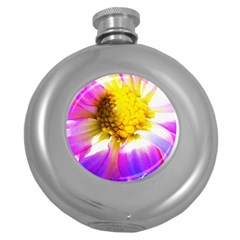 Purple, Pink And White Dahlia With A Bright Yellow Center Round Hip Flask (5 Oz) by myrubiogarden