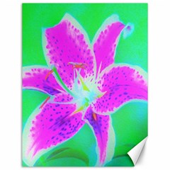 Hot Pink Stargazer Lily On Turquoise Blue And Green Canvas 12  X 16  by myrubiogarden