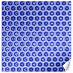 A Hexagonal Pattern Canvas 12  X 12  by Pakrebo