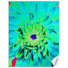 Aqua Cactus Dahlia Canvas 12  X 16  by myrubiogarden