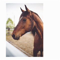 Arabian Horse Small Garden Flag (two Sides) by WensdaiAmbrose