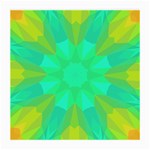 Kaleidoscope Background Medium Glasses Cloth (2-Side) Front