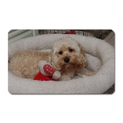 Cockapoo In Dog s Bed Magnet (rectangular) by pauchesstore