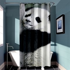 Panda Bear Sleeping Shower Curtain 36  X 72  (stall)  by Sudhe