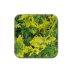 Garden Of The Phoenix Rubber Coaster (square)  by Riverwoman