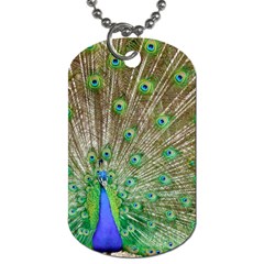 Peacock Color Bird Colorful Dog Tag (two Sides) by Pakrebo