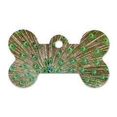 Peacock Color Bird Colorful Dog Tag Bone (one Side) by Pakrebo