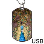 Peacock Feather Peacock Feather Dog Tag USB Flash (One Side) Front