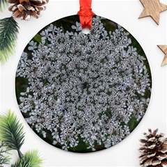 Queen Annes Lace Original Ornament (round) by okhismakingart