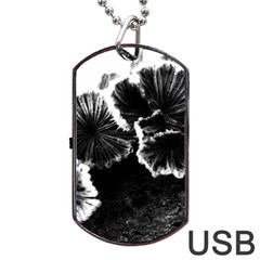 Tree Fungus High Contrast Dog Tag Usb Flash (one Side) by okhismakingart