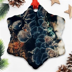 Tree Fungus Branch Vertical Ornament (snowflake) by okhismakingart